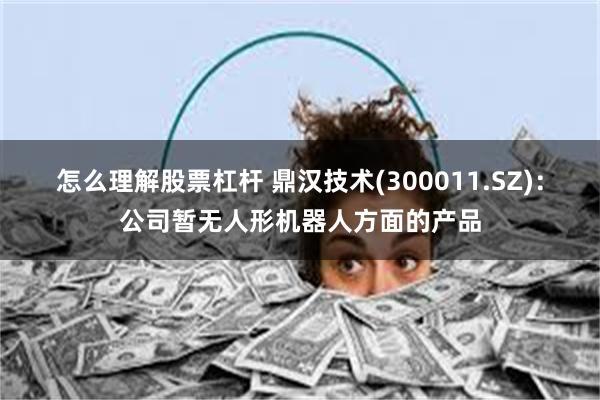 怎么理解股票杠杆 鼎汉技术(300011.SZ)：公司暂无人形机器人方面的产品