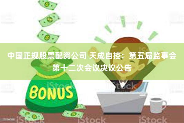 中国正规股票配资公司 天成自控：第五届监事会第十二次会议决议公告