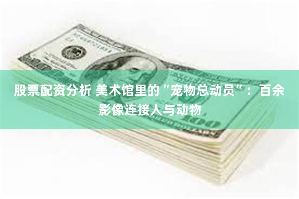 股票配资分析 美术馆里的“宠物总动员”：百余影像连接人与动物