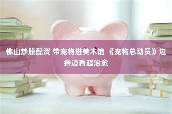 佛山炒股配资 带宠物进美术馆 《宠物总动员》边撸边看超治愈