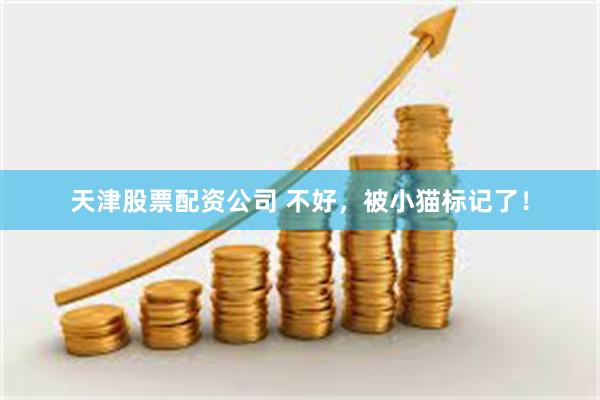 天津股票配资公司 不好，被小猫标记了！