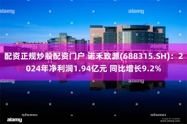 配资正规炒股配资门户 诺禾致源(688315.SH)：2024年净利润1.94亿元 同比增长9.2%