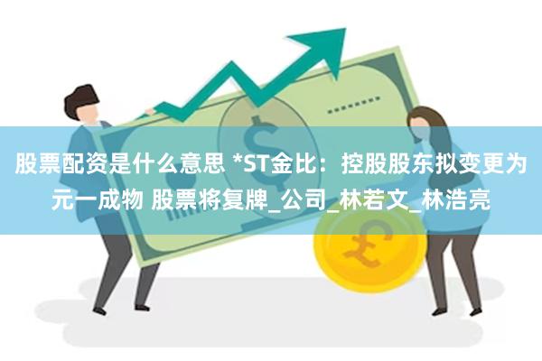 股票配资是什么意思 *ST金比：控股股东拟变更为元一成物 股票将复牌_公司_林若文_林浩亮