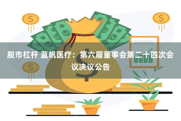 股市杠杆 蓝帆医疗：第六届董事会第二十四次会议决议公告