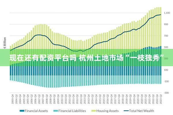 现在还有配资平台吗 杭州土地市场“一枝独秀”
