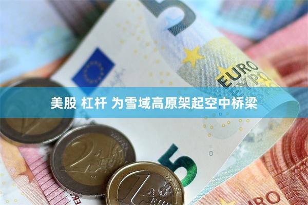 美股 杠杆 为雪域高原架起空中桥梁
