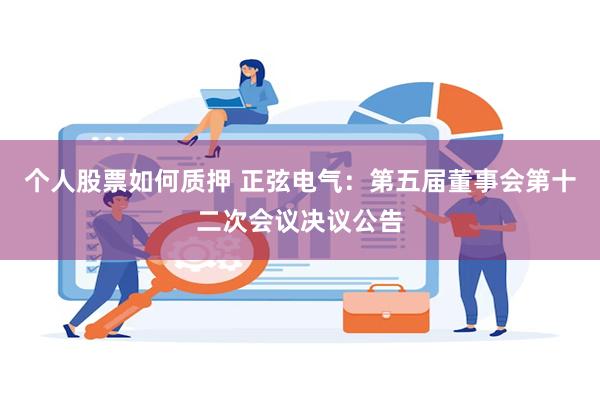 个人股票如何质押 正弦电气：第五届董事会第十二次会议决议公告