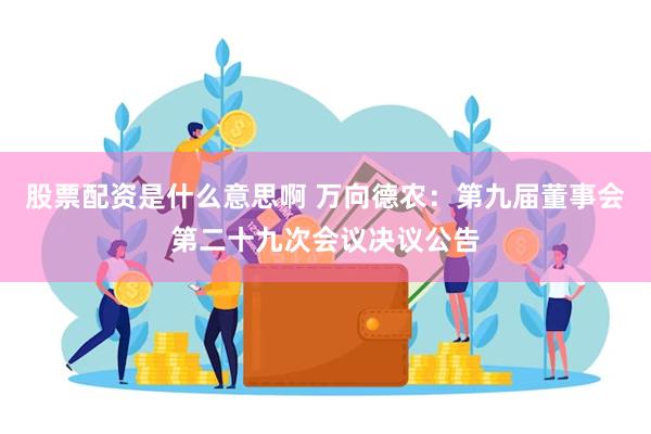 股票配资是什么意思啊 万向德农：第九届董事会第二十九次会议决议公告