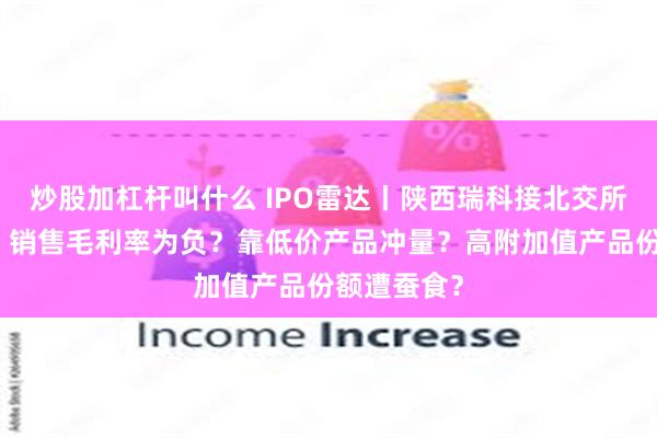炒股加杠杆叫什么 IPO雷达丨陕西瑞科接北交所二轮问询：销售毛利率为负？靠低价产品冲量？高附加值产品份额遭蚕食？