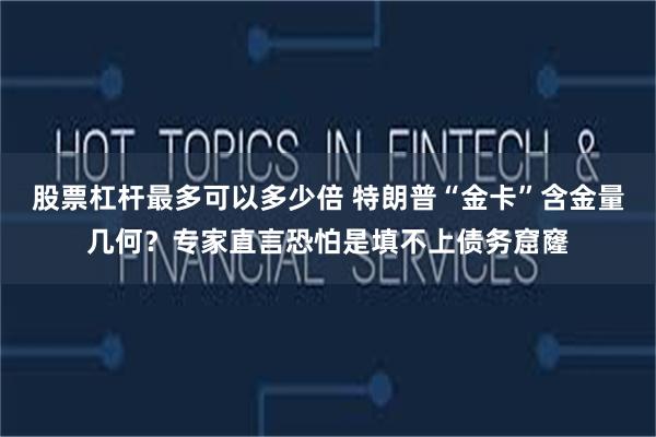 股票杠杆最多可以多少倍 特朗普“金卡”含金量几何？专家直言恐怕是填不上债务窟窿