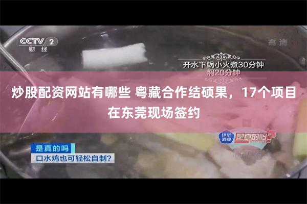 炒股配资网站有哪些 粤藏合作结硕果，17个项目在东莞现场签约