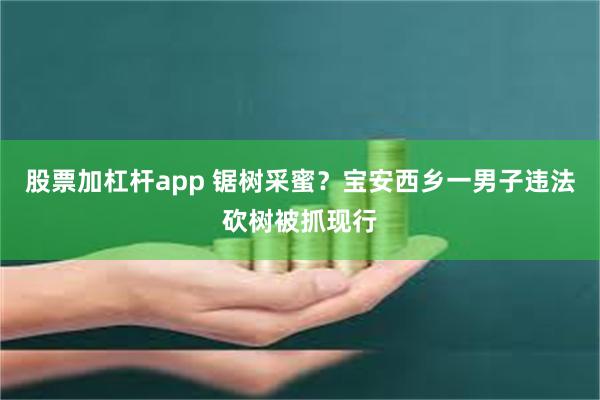 股票加杠杆app 锯树采蜜？宝安西乡一男子违法砍树被抓现行