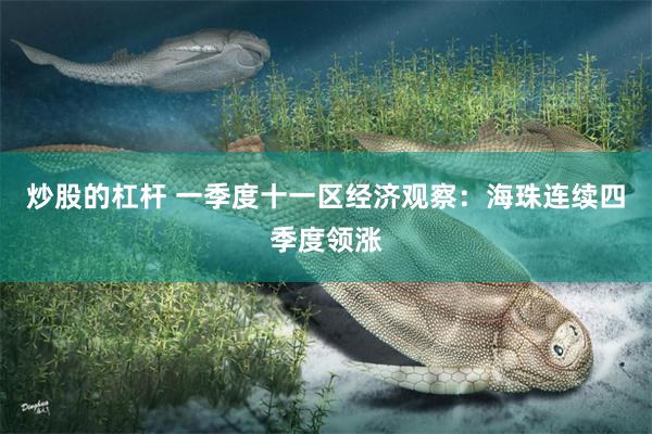 炒股的杠杆 一季度十一区经济观察：海珠连续四季度领涨