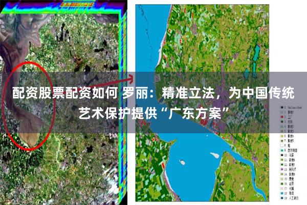 配资股票配资如何 罗丽：精准立法，为中国传统艺术保护提供“广东方案”