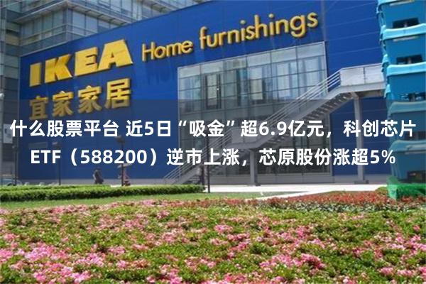什么股票平台 近5日“吸金”超6.9亿元，科创芯片ETF（588200）逆市上涨，芯原股份涨超5%