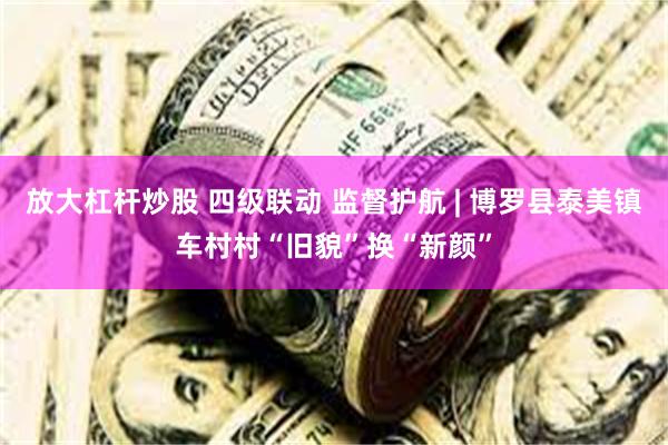 放大杠杆炒股 四级联动 监督护航 | 博罗县泰美镇车村村“旧貌”换“新颜”