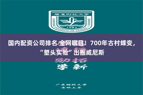 国内配资公司排名 全网瞩目！700年古村蝶变，“塱头实验”出圈威尼斯