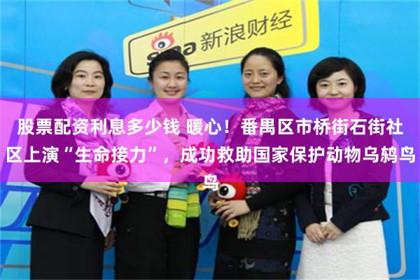 股票配资利息多少钱 暖心！番禺区市桥街石街社区上演“生命接力”，成功救助国家保护动物乌鸫鸟