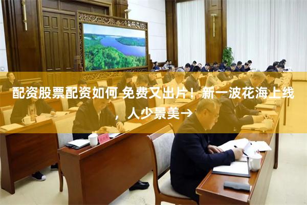 配资股票配资如何 免费又出片！新一波花海上线，人少景美→