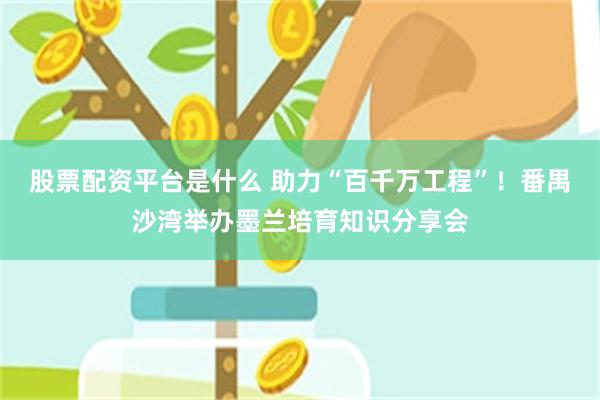 股票配资平台是什么 助力“百千万工程”！番禺沙湾举办墨兰培育知识分享会