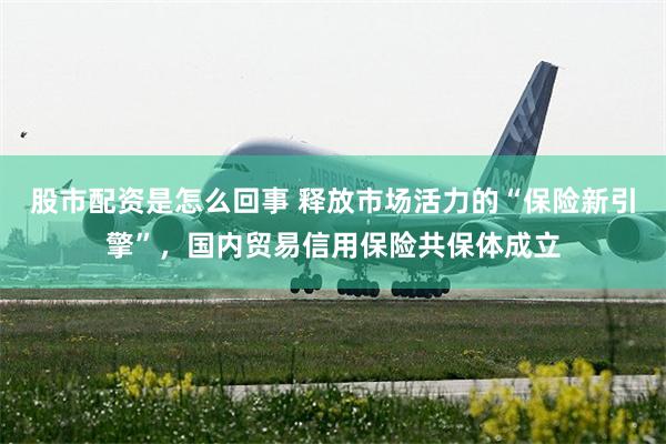 股市配资是怎么回事 释放市场活力的“保险新引擎”，国内贸易信用保险共保体成立