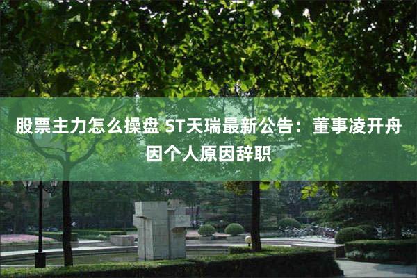 股票主力怎么操盘 ST天瑞最新公告：董事凌开舟因个人原因辞职