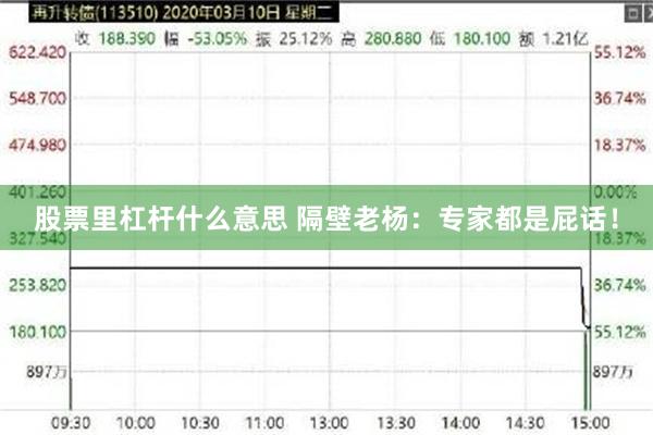 股票里杠杆什么意思 隔壁老杨：专家都是屁话！