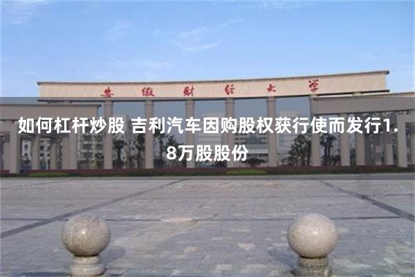 如何杠杆炒股 吉利汽车因购股权获行使而发行1.8万股股份