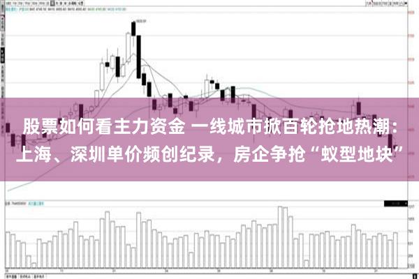 股票如何看主力资金 一线城市掀百轮抢地热潮：上海、深圳单价频创纪录，房企争抢“蚁型地块”