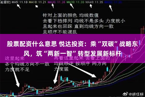 股票配资什么意思 悦达投资：乘“双碳”战略东风，筑“两新一智”转型发展新标杆