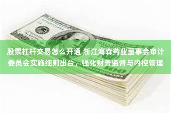 股票杠杆交易怎么开通 浙江海森药业董事会审计委员会实施细则出台，强化财务监督与内控管理