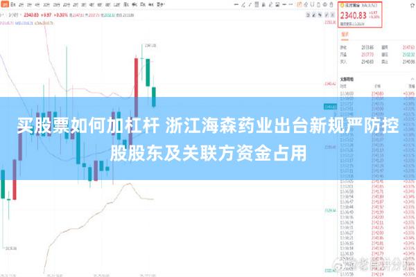 买股票如何加杠杆 浙江海森药业出台新规严防控股股东及关联方资金占用