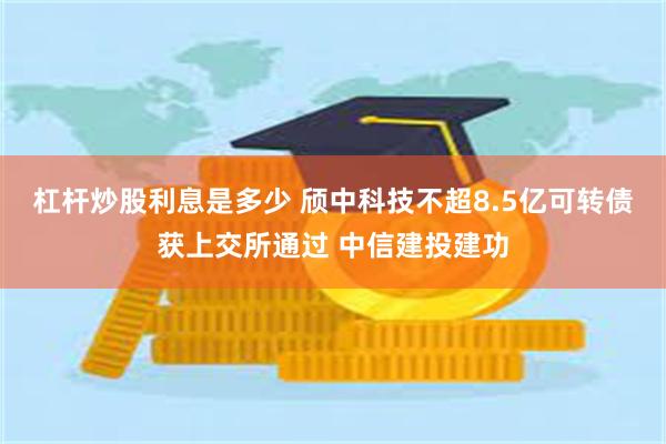 杠杆炒股利息是多少 颀中科技不超8.5亿可转债获上交所通过 中信建投建功