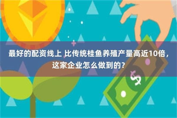 最好的配资线上 比传统桂鱼养殖产量高近10倍,这家企业怎么做到的?