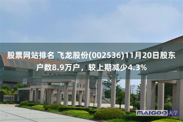 股票网站排名 飞龙股份(002536)11月20日股东户数8.9万户，较上期减少4.3%
