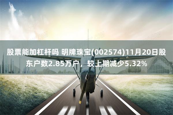 股票能加杠杆吗 明牌珠宝(002574)11月20日股东户数2.85万户，较上期减少5.32%
