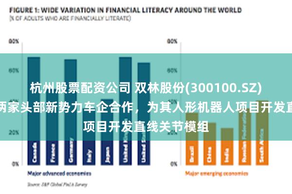 杭州股票配资公司 双林股份(300100.SZ)：已与国内两家头部新势力车企合作，为其人形机器人项目开发直线关节模组