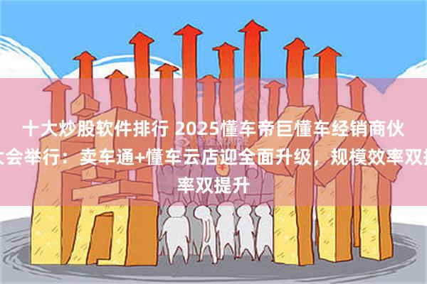 十大炒股软件排行 2025懂车帝巨懂车经销商伙伴大会举行：卖车通+懂车云店迎全面升级，规模效率双提升