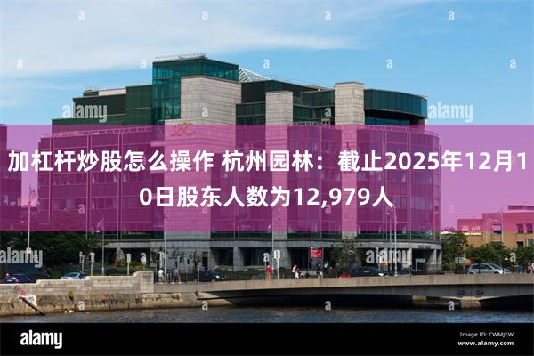 加杠杆炒股怎么操作 杭州园林：截止2025年12月10日股东人数为12,979人