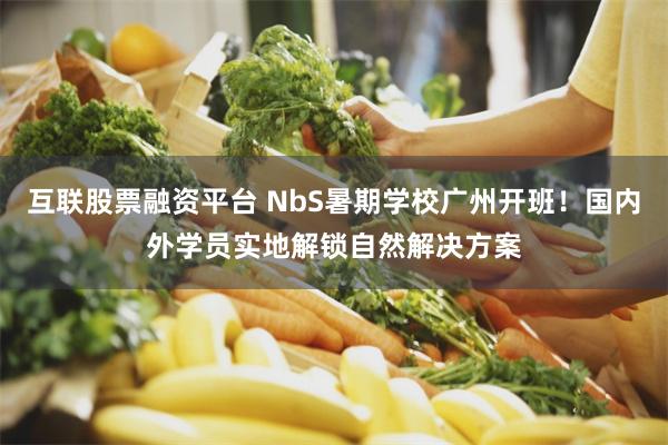 互联股票融资平台 NbS暑期学校广州开班!国内外学员实地解锁自然解决方案