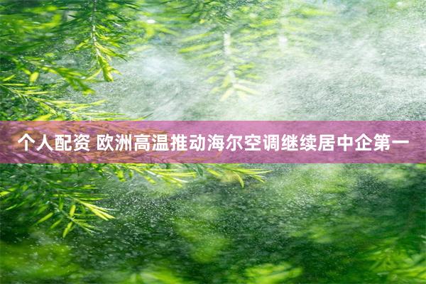个人配资 欧洲高温推动海尔空调继续居中企第一