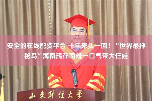 安全的在线配资平台 十年来头一回!“世界最神秘鸟”海南鳽在南雄一口气带大仨娃