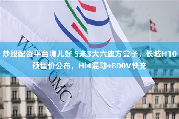炒股配资平台哪儿好 5米3大六座方盒子，长城H10预售价公布，Hi4混动+800V快充