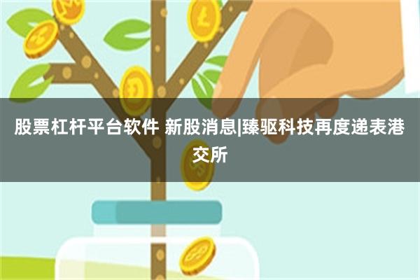 股票杠杆平台软件 新股消息|臻驱科技再度递表港交所