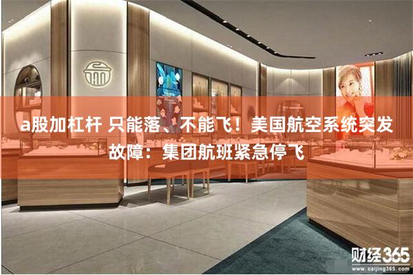 a股加杠杆 只能落、不能飞！美国航空系统突发故障：集团航班紧急停飞
